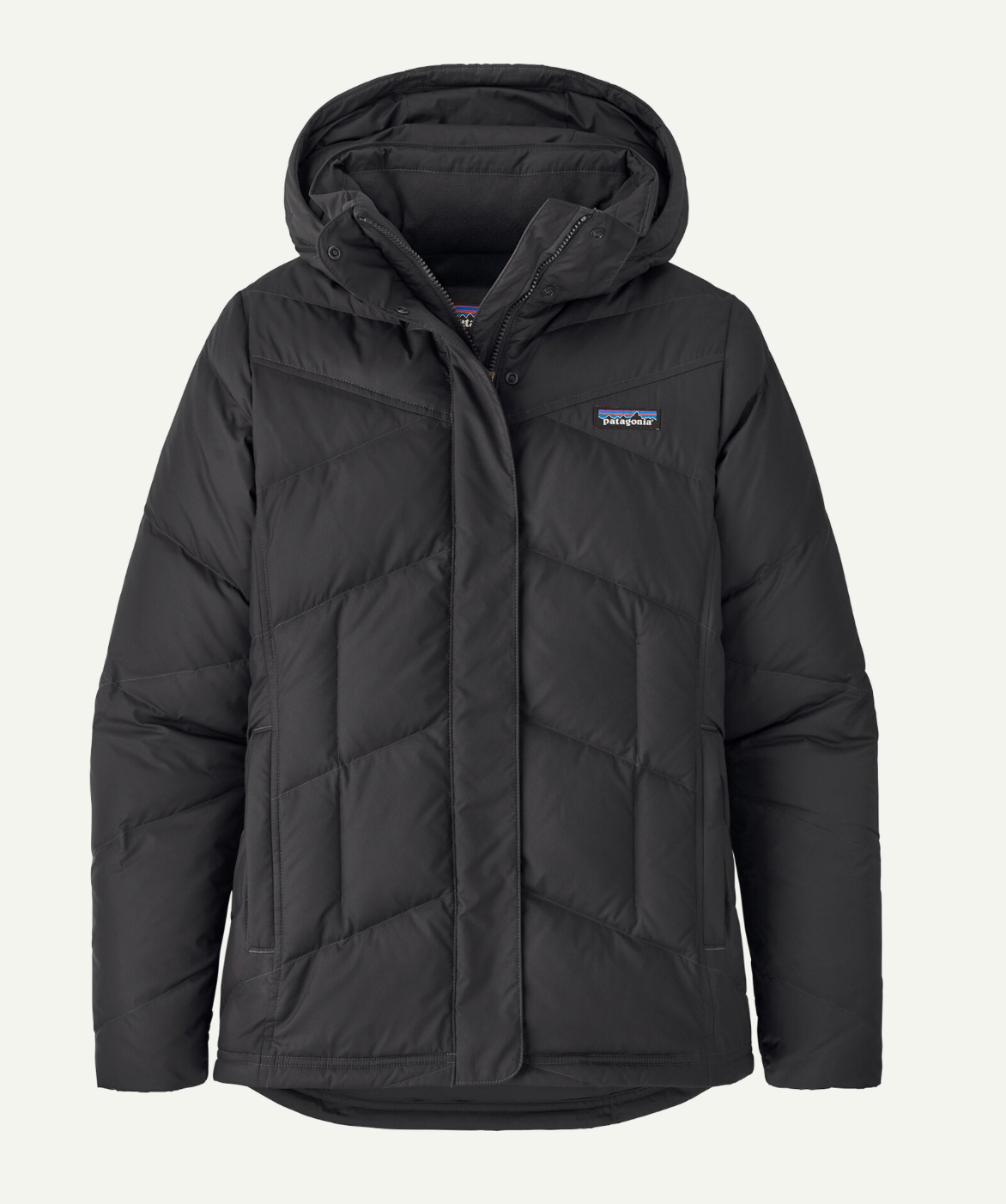 Patagonia Women's Down With It Jacket