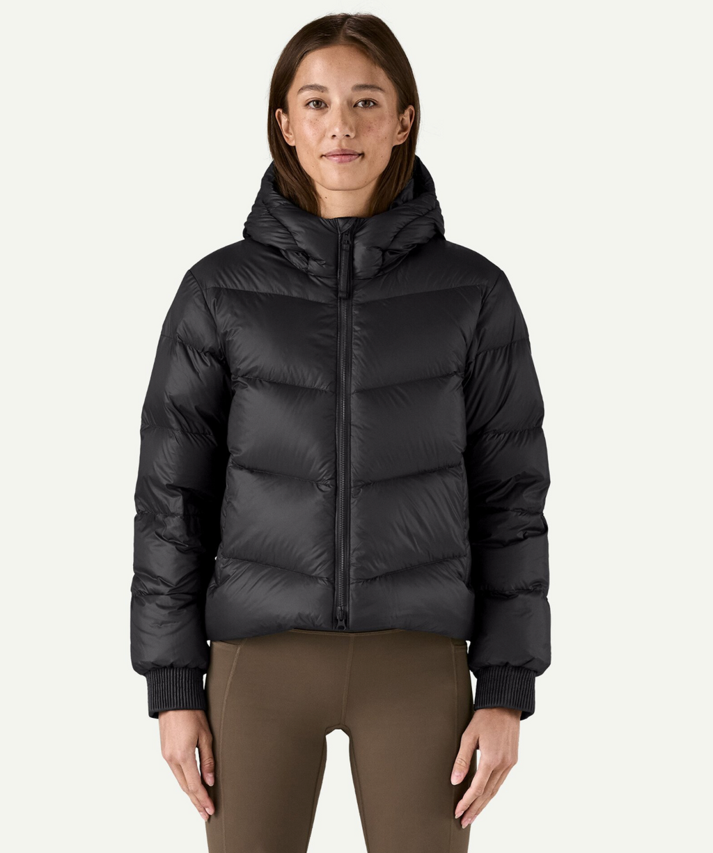 Patagonia Women's Sindit Hoody Jacket