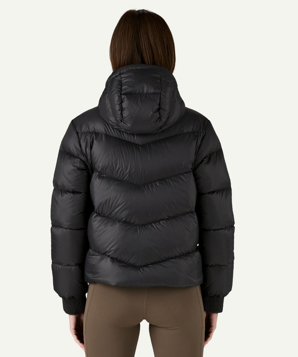 Patagonia Women's Sindit Hoody Jacket