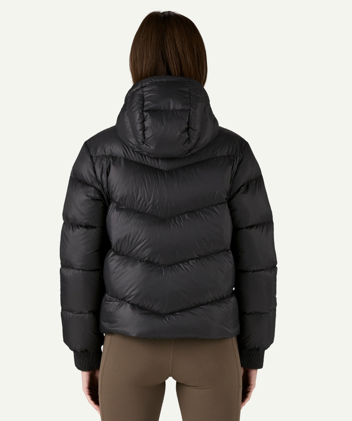 Patagonia Women's Sindit Hoody Jacket