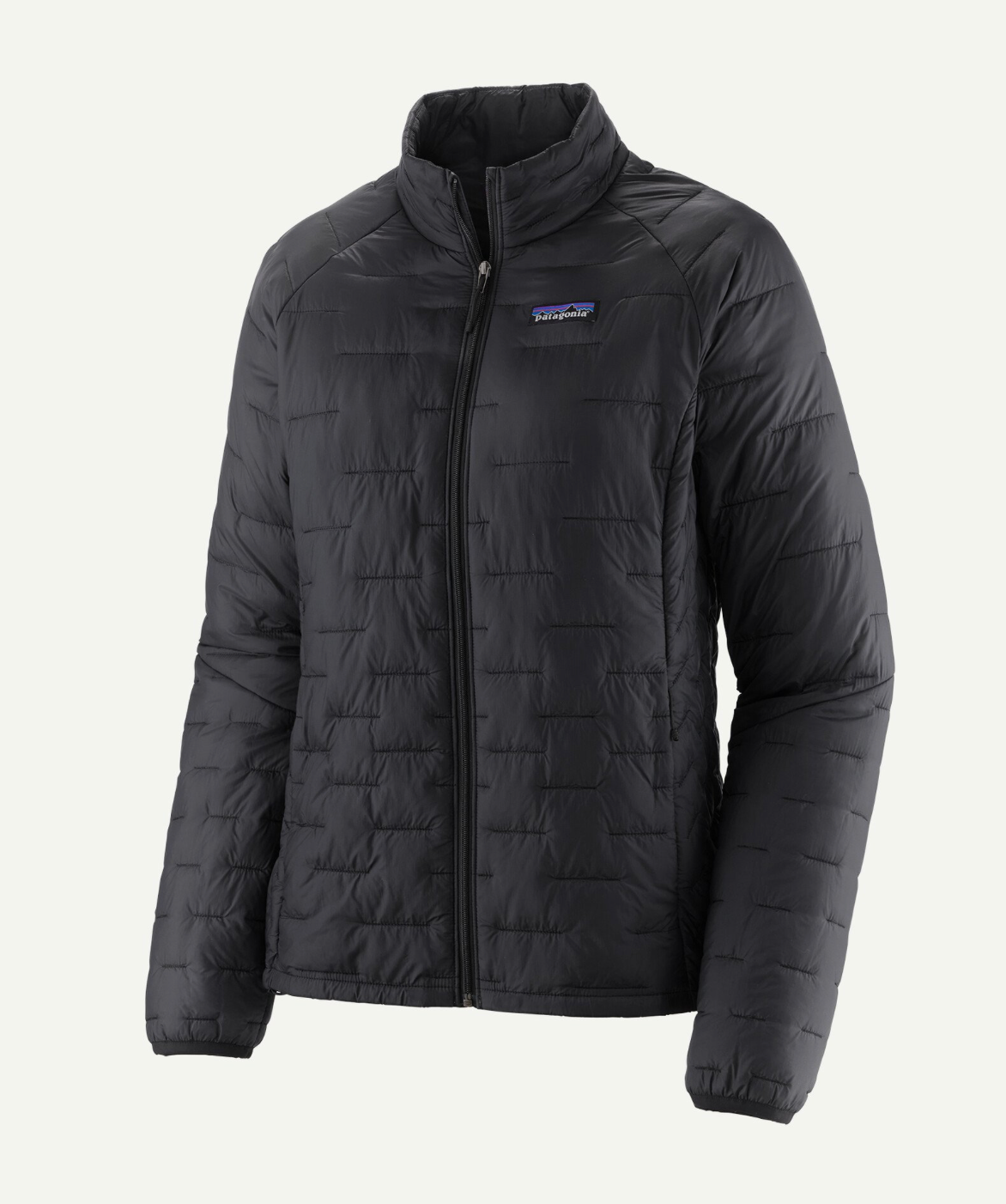 Patagonia Women's Micro Puff Jacket