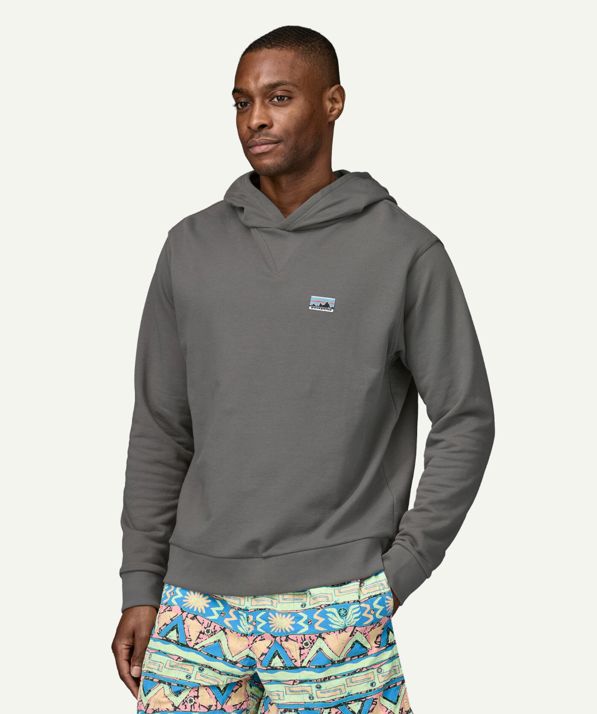 Patagonia Daily Hooded Sweatshirt